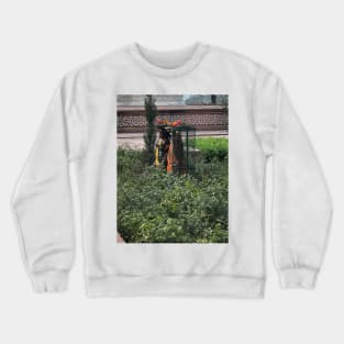 My Home Crewneck Sweatshirt